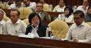 Menteri Siti Memaparkan Agenda Pembangunan LHK 2020-2024 Saat Raker dengan Komisi IV DPR - JPNN.com