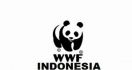 KLHK Akhiri Kerja Sama dengan WWF Indonesia - JPNN.com