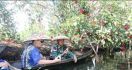 Banjarmasin Masif Kembangkan Wisata Susur Sungai - JPNN.com
