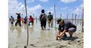 Pandemi Corona, Penyelamatan Mangrove Taman Nasional Way Kambas Tetap Berjalan - JPNN.com