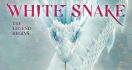 Temani Keluarga di Rumah, FIlm Animasi White Snake Kini Tayang di KlikFilm - JPNN.com