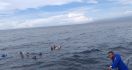 Belasan ABK KM Samena 02 yang Terapung-apung di Laut Akhirnya Selamat - JPNN.com