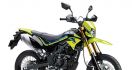 Kawasaki Rilis D-Traker 150 SE, Harga Tidak Berubah - JPNN.com