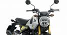 Honda Rilis Motor Cebol Grom dengan 3 Tampilan Berbeda - JPNN.com