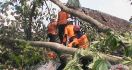 Puluhan Rumah Rusak, Jaringan Listrik di Gunung Kidul Yogyakarta Terputus - JPNN.com