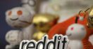 Reddit Tingkatkan Pengalaman Pengguna Dengan Fitur Terjemah - JPNN.com