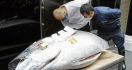 Gokil, Ikan Tuna Sirip Biru Terjual dengan Harga Rp 2,7 Miliar - JPNN.com