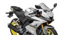 Yamaha R15 2021 Tampil dengan 3 Warna Baru, Harga Berubah? - JPNN.com