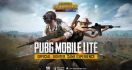 PUBG Lite Dihentikan Akhir Bulan Ini - JPNN.com