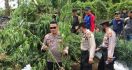 Polres Rejang Lebong Kembangkan Kasus Ladang Ganja Milik Oknum Guru SD - JPNN.com