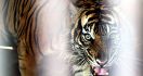 Pemprov Sumbar Bentuk Nagari Ramah Harimau, Ini Tujuannya - JPNN.com