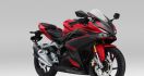 Inilah Harga CBR250RR dengan Warna & Grafis Baru, Wouw - JPNN.com