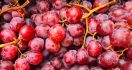 4 Khasiat Biji Anggur yang Bikin Kaget - JPNN.com