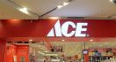 Ace Hardware Bidik Rp 3 Triliun - JPNN.com