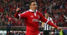 Benfica Bungkam Newcastle 3-1 - JPNN.com