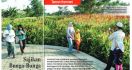 Taman Harmoni dengan Aneka Bunga Dunia, Ikon Baru Surabaya - JPNN.com