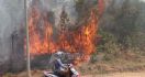 Awas! Kebakaran Hutan Dan Lahan Mengancam - JPNN.com