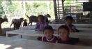 Memperihatinkan! Anak-anak TK Ini Bermain dan Belajar Berdampingan dengan Kambing - JPNN.com