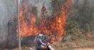 GAWAT: Dua Provinsi di Indonesia Timur Ini Muncul Titik Api - JPNN.com