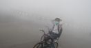 Ngeri! Ini Dampak Kabut Asap menurut Pakar Pencemaran Udara - JPNN.com