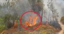 Api Membentuk Lafadz Allah, di Kebakaran Hutan Sulbar, Pertanda Apa? - JPNN.com