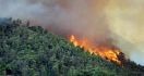 Metode Afrika Selatan Ternyata Ampuh Padamkan Kebakaran Hutan dan Lahan - JPNN.com