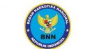 Diam-diam, BNN Mendatangi Anggota Dewan - JPNN.com