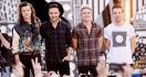 Satu Lagi Personel One Direction Rintis Karier Solo - JPNN.com