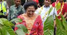 Megawati Ingin Indonesia Punya Kebun yang Luas - JPNN.com