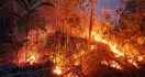 232 Titik Api Tersebar di Sumatera dan Kalimantan - JPNN.com