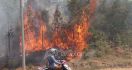 WASPADA, Titik Api Kebakaran Hutan Meningkat Hingga 482 Hotspot - JPNN.com