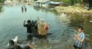 Jokowi Akan Relokasi Paksa Penghuni Liar di Waduk Pluit - JPNN.com