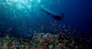 Yuk, Jelajahi Situs Warisan Underwater UNESCO di Labuan Bajo - JPNN.com