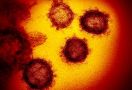 Epidemi Virus Corona Pernah Terjadi di Zaman Purba, Baru Reda Setelah 20 Ribu Tahun - JPNN.com
