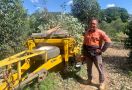 Petani di Australia Mencoba Kemungkinan Pembangkit Listrik dari Pohon - JPNN.com