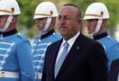 Erdogan Ubah Nama Negara Turki, Ternyata Alasannya Cukup Kocak - JPNN.com