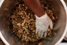 India Punya Solusi Untuk Masalah Puntung Rokok yang Berserakan di Jalanan - JPNN.com