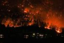Kanada Mengalami Kebakaran Hutan Terburuk, Ini Alasan Mengapa Kita Harus Peduli - JPNN.com