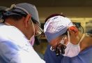Dunia Hari Ini: Amerika untuk Pertama Kalinya Mentransplantasikan Ginjal Babi - JPNN.com