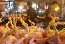 Stok Daging Ayam Masih Banyak, Tapi Harganya Naik Sebegini - JPNN.com