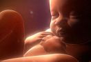 Tangerang Darurat Kematian Ibu-Bayi Saat Melahirkan - JPNN.com