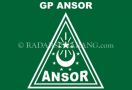 Pak Ahok, GP Ansor Marah Betul soal Kiai Ma'ruf - JPNN.com