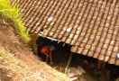 Rumah Nyaris Hanyut di Sungai, Untung Warga Selamat - JPNN.com