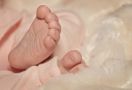 Hayo Ngaku, Siapa Membuang Bayi di Gudang Kayu? - JPNN.com