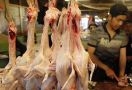 40 Persen Daging Ayam Dipasok Dari Luar - JPNN.com