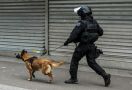 Basmi Narkoba, Polisi Butuh Anjing Seharga Ratusan Juta - JPNN.com