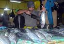Ikan Cakalang Asal Maluku Tembus Pasar Jepang Berkat Tim Percepatan Ekspor - JPNN.com