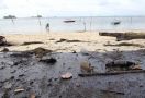 Lihat Nih, Ceceran Limbah B3 di Sepanjang Pantai Nongsa - JPNN.com