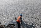 Ratusan Ikan Mati Mendadak di Situ Citongtut - JPNN.com