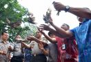 Lihat, Ratusan Burung Diselundupkan ke Pulau Jawa - JPNN.com